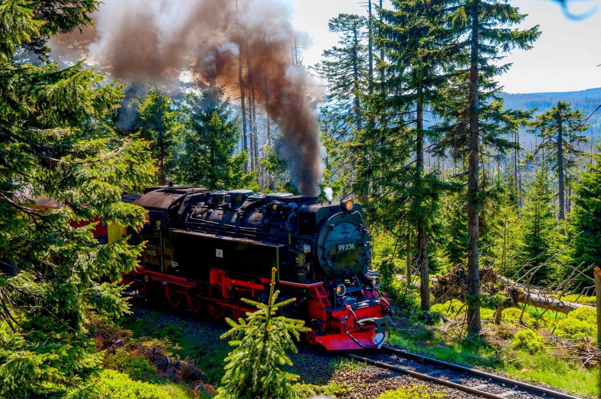 Regiohotel Am Brocken Schierke Eksteriør billede
